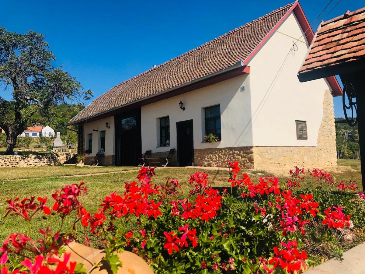 Hotel Edenkert Vendeghazak Pécsvárad Zewnętrze zdjęcie