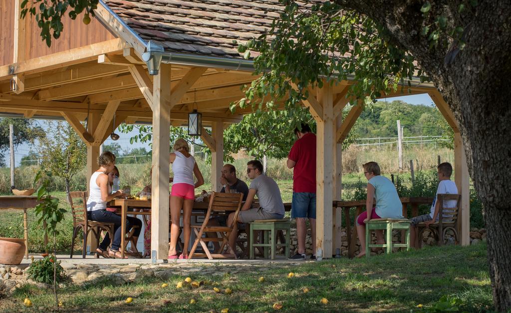 Hotel Edenkert Vendeghazak Pécsvárad Zewnętrze zdjęcie