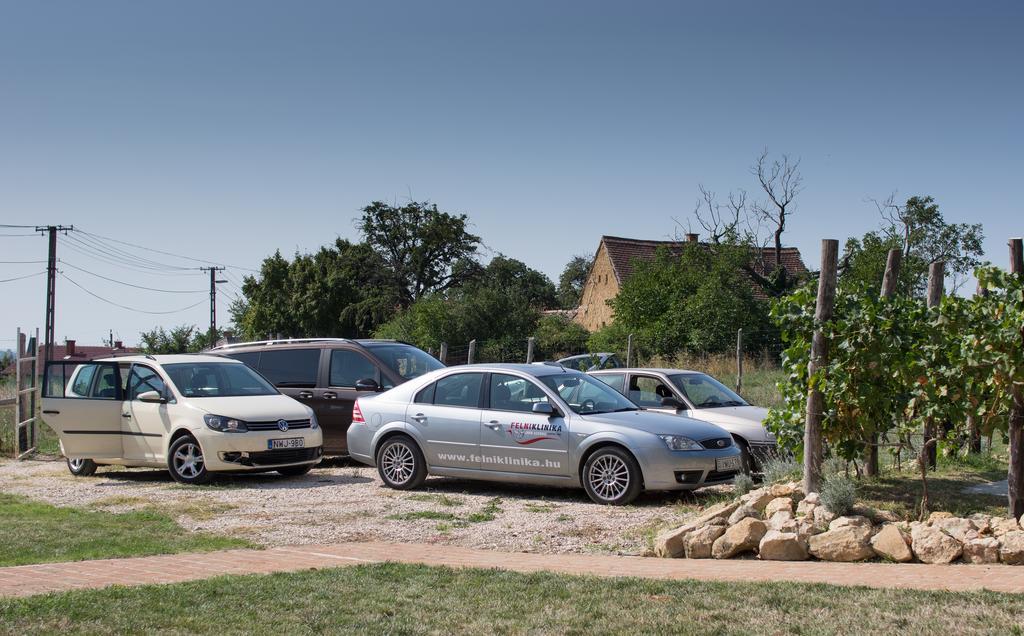 Hotel Edenkert Vendeghazak Pécsvárad Zewnętrze zdjęcie